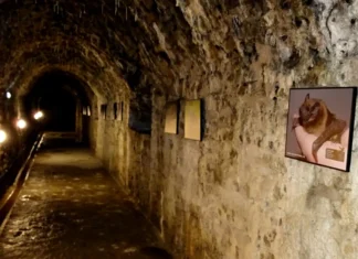 Ekskursioon: Victoria bastioni käigud